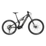 Cannondale Moterra SL 2 in Smoke Black