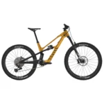 Canyon Spectral-ONfly CF CLLCTV in Stadtwald Sunset
