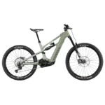 Canyon Strive-ON CFR in Liquid Forest