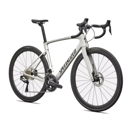 Dolomite Metallic Specialized Roubaix SL8 Expert endurance road bike