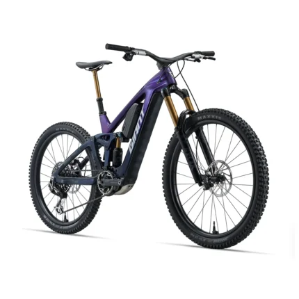 Giant Reign Advanced E+ 0 with SyncDrive Pro 3 motor and Fox 38 Factory fork