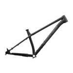 Santa Cruz Chameleon Frame in Matte Blackout