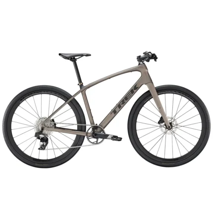 Trek FX Sport SL 6 in Matte Bronze Age